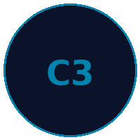 Technology Executive